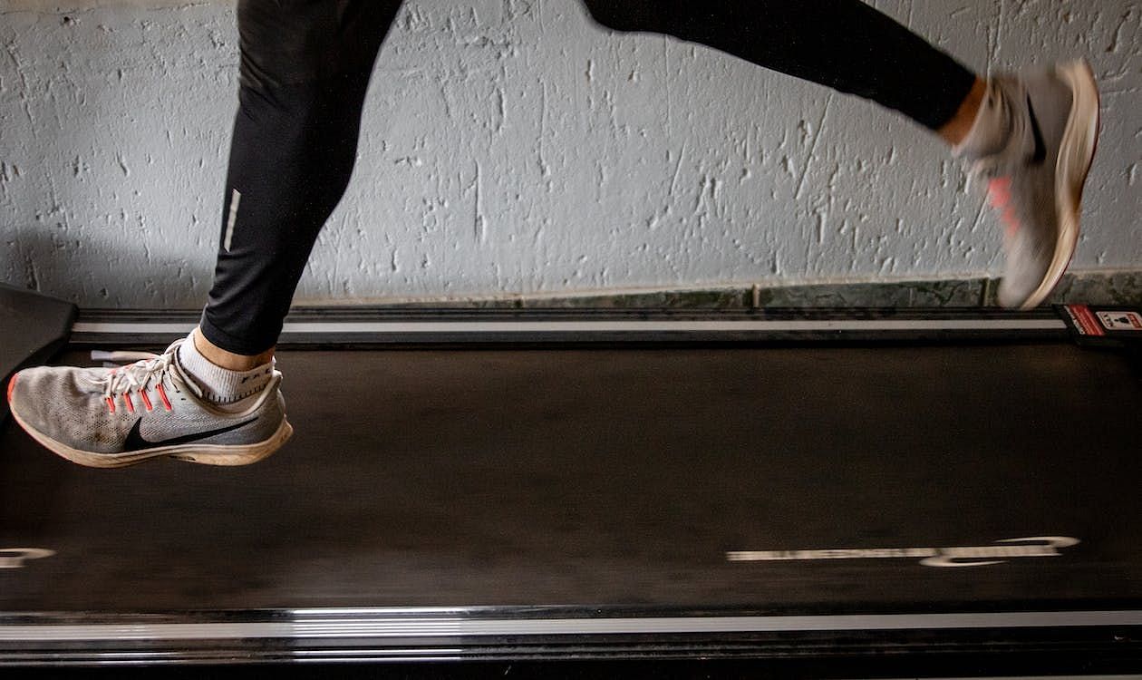 Theoretical calculations were made by the researchers to determine the possible effects of sustaining increased CRF levels. (Magda Ehlers/ Pexels )